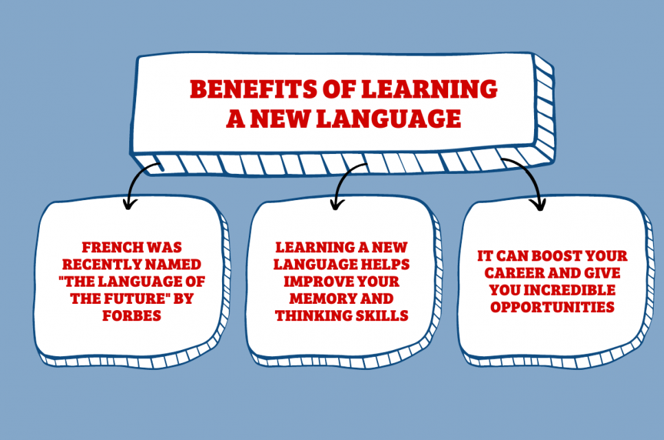 Online French Language Classes for Beginners to Advanced Levels 3 f3 1